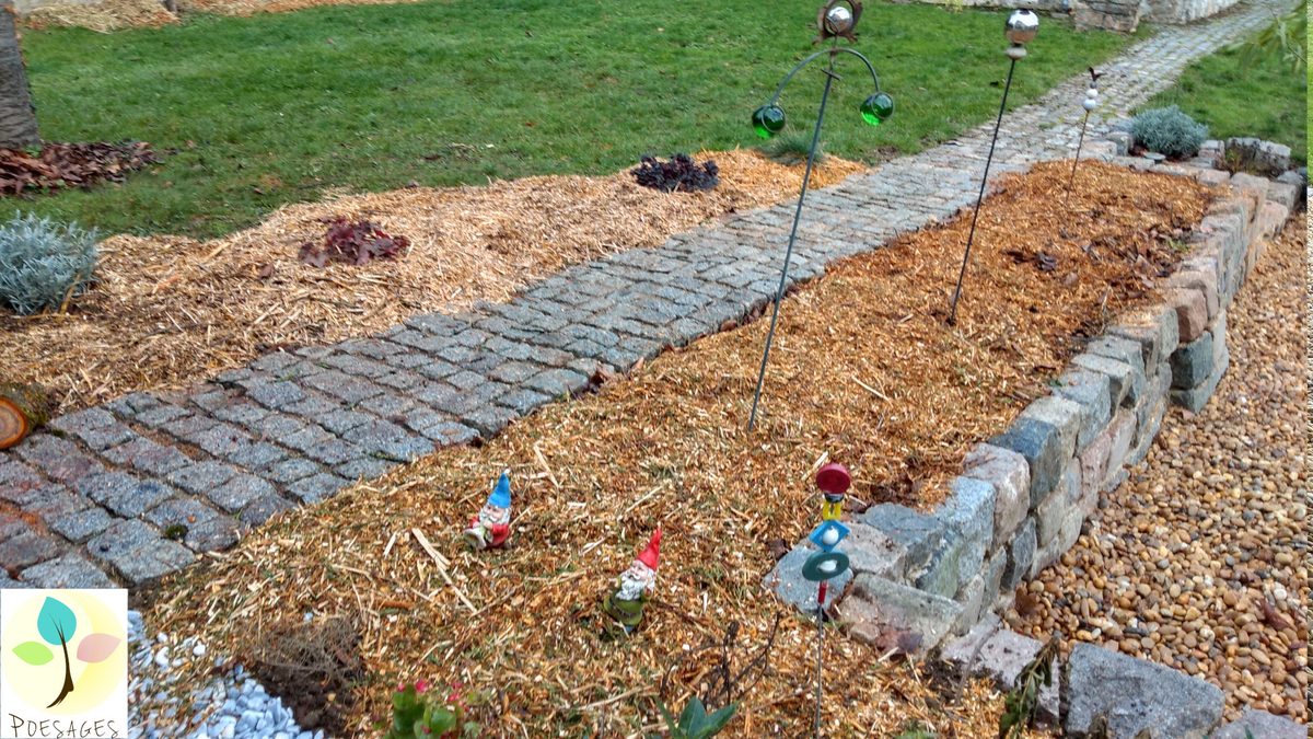 Paillage du futur potager avec le broyat obtenu suite à l’élagage de ... l’érable ! Un jardin c’est cycli