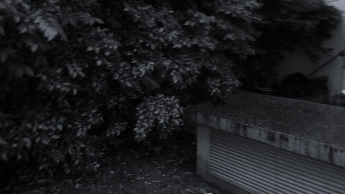 Dans un petit jardin, tout l’espace est important. Ici l’endroit était entièrement conquis par une haie de tro