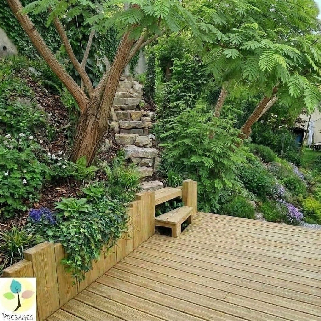 Vue d’ambiance du jardin une fois installé, entre les acacias