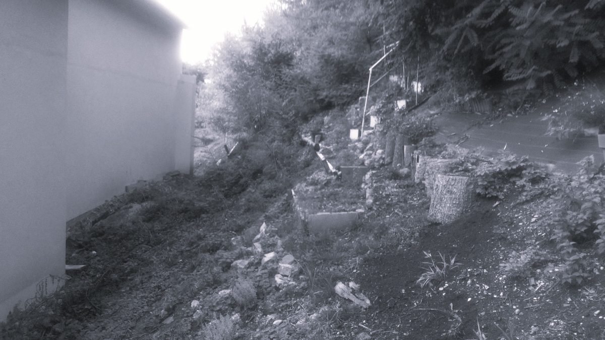 Avant notre arrivée, une pente difficile d’accès impossible à jardiner